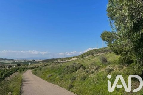 Commercial property for sale in Lorca, Murcia, Spain No. 185462 - photo 12