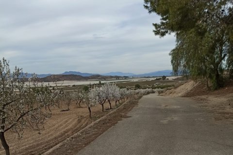 Commercial property for sale in Lorca, Murcia, Spain No. 185462 - photo 7