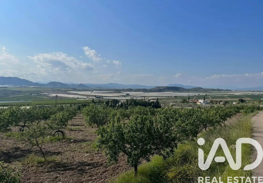 Kommersiell fastighet i Lorca, Murcia, Spanien Nr. 185462