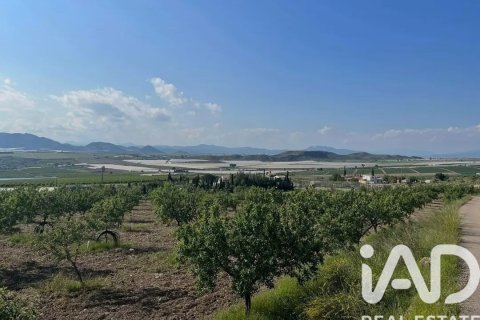 Commercial property for sale in Lorca, Murcia, Spain No. 185462 - photo 13