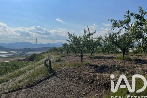 Commercial property for sale in Lorca, Murcia, Spain No. 185462 - photo 16