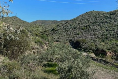 Commercial property for sale in Lorca, Murcia, Spain No. 185462 - photo 15