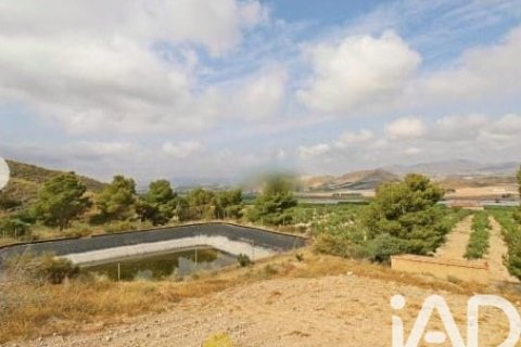 Commercial property for sale in Lorca, Murcia, Spain No. 185462 - photo 2