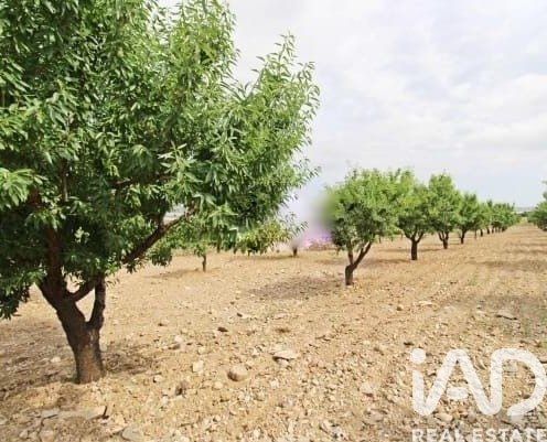 Kommersiell fastighet i Lorca, Murcia, Spanien Nr. 185462
