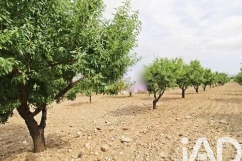 Commercial property for sale in Lorca, Murcia, Spain No. 185462 - photo 8