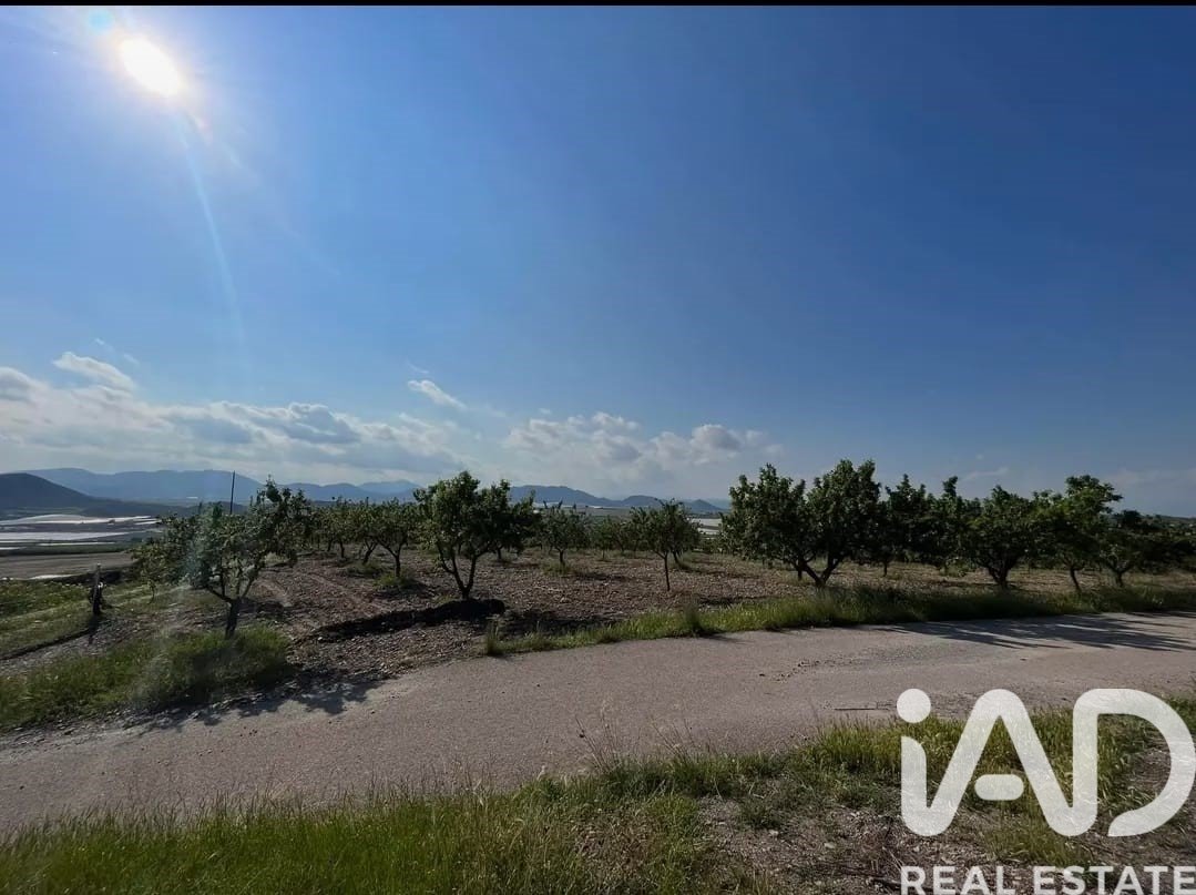 Kommersiell fastighet i Lorca, Murcia, Spanien Nr. 185462