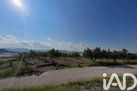 Commercial property for sale in Lorca, Murcia, Spain No. 185462 - photo 9