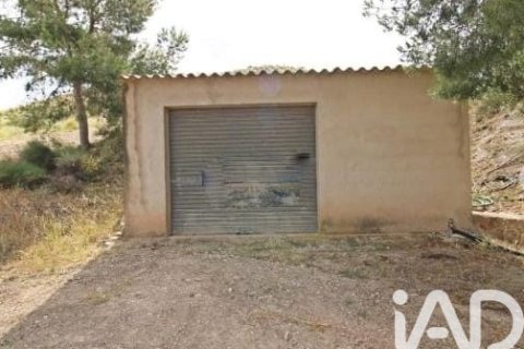 Commercial property for sale in Lorca, Murcia, Spain No. 185462 - photo 3