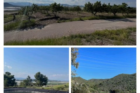 Gewerbeimmobilien in Lorca, Murcia, Spanien Nr. 185462