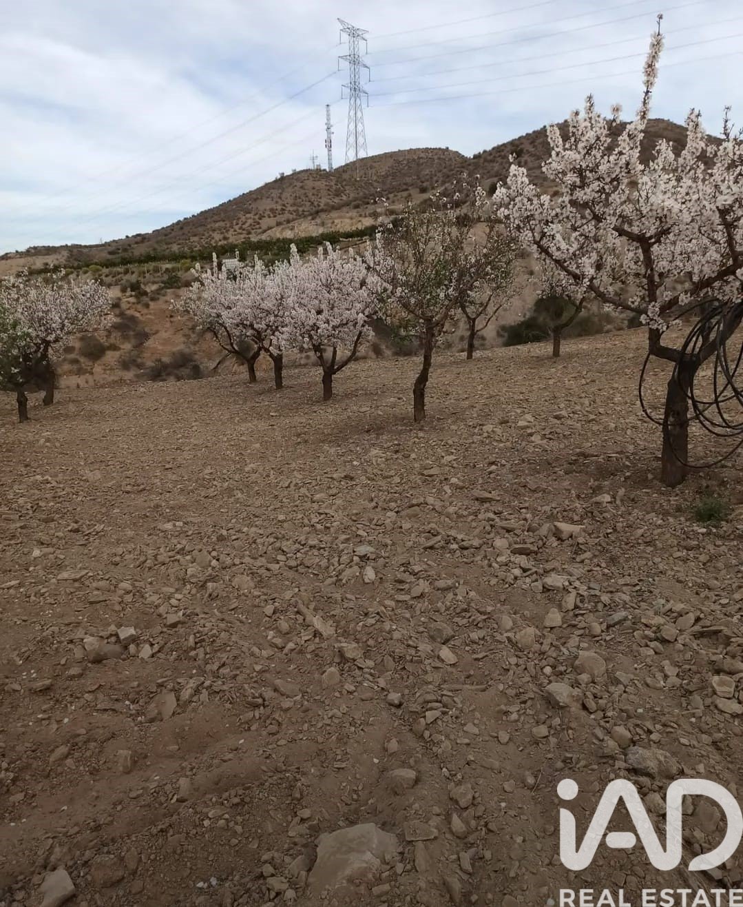 Kommersiell fastighet i Lorca, Murcia, Spanien Nr. 185462