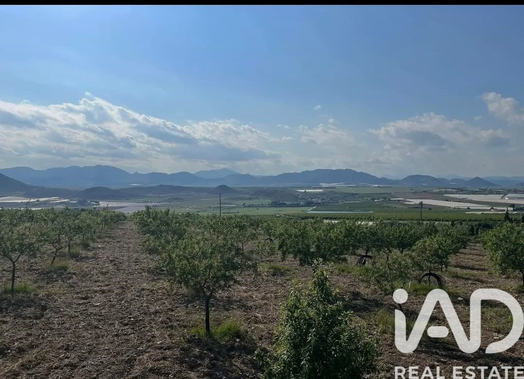 Kommersiell fastighet i Lorca, Murcia, Spanien Nr. 185462