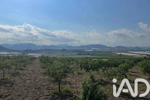 Commercial property for sale in Lorca, Murcia, Spain No. 185462 - photo 18