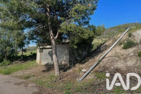 Commercial property for sale in Lorca, Murcia, Spain No. 185462 - photo 14