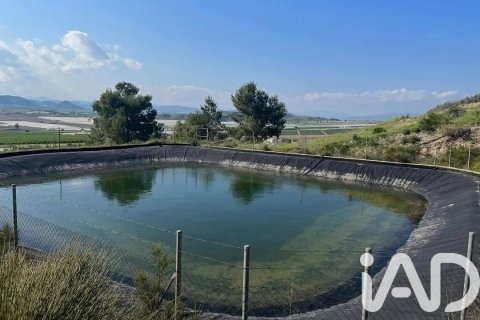 Commercial property for sale in Lorca, Murcia, Spain No. 185462 - photo 10