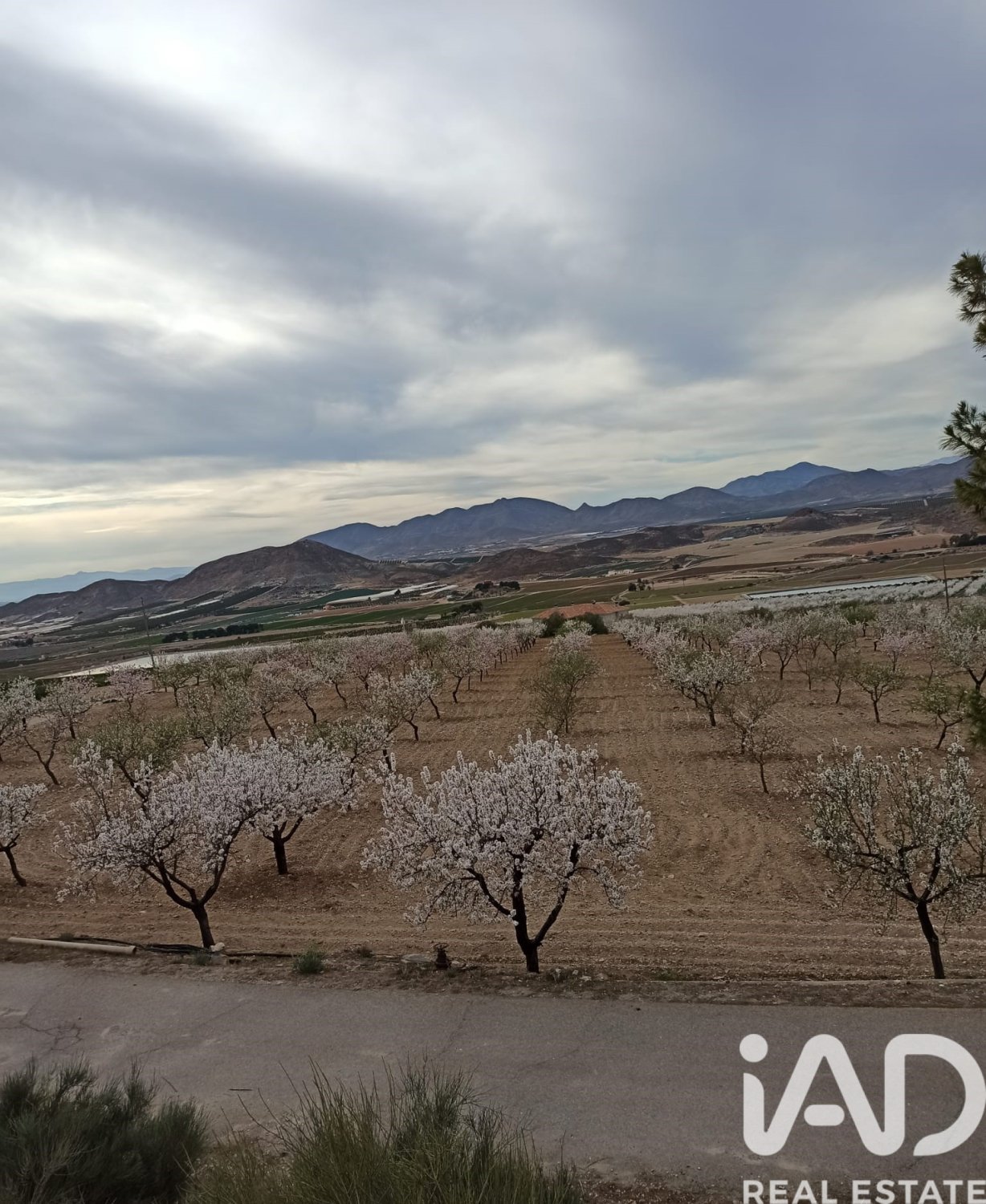Kommersiell fastighet i Lorca, Murcia, Spanien Nr. 185462