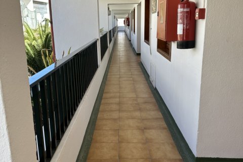 Продажа квартиры в Тиас, Лансароте, Испания 1 спальня, 55м2 №152936 - фото 12