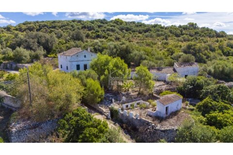 Māja pārdošanā Alaior, Menorca, Spānijā 4 istabas, 227 m2 Nr. 138185 - attēls 1