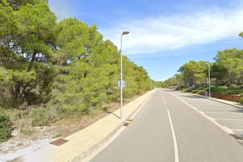 Land plot à vendre Es Mercadal, Menorca, EspagneNo. 138186 - photo 4