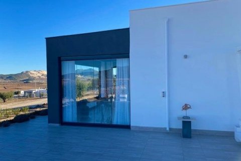 Villa for sale Jumilla, Murcia, Spain 3 bedrooms, 168 sq.m. No. 111333 - photo 8