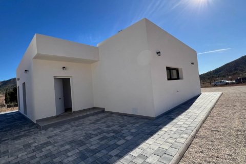 Villa for sale Jumilla, Murcia, Spain 3 bedrooms, 168 sq.m. No. 111333 - photo 26
