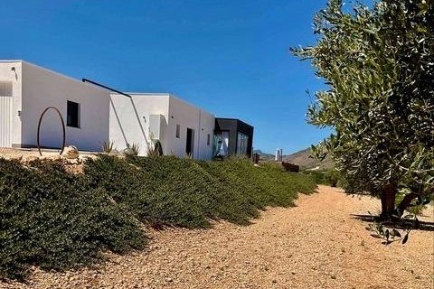 Villa for sale Jumilla, Murcia, Spain 3 bedrooms, 168 sq.m. No. 111333 - photo 30