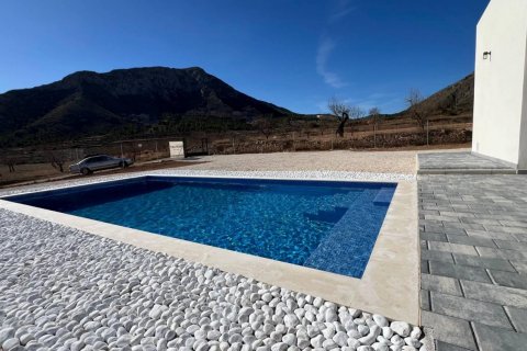 Villa for sale Jumilla, Murcia, Spain 3 bedrooms, 168 sq.m. No. 111333 - photo 13