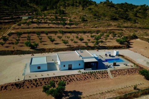 Villa for sale Jumilla, Murcia, Spain 3 bedrooms, 168 sq.m. No. 111333 - photo 3