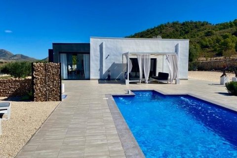 Villa for sale Jumilla, Murcia, Spain 3 bedrooms, 168 sq.m. No. 111333 - photo 6