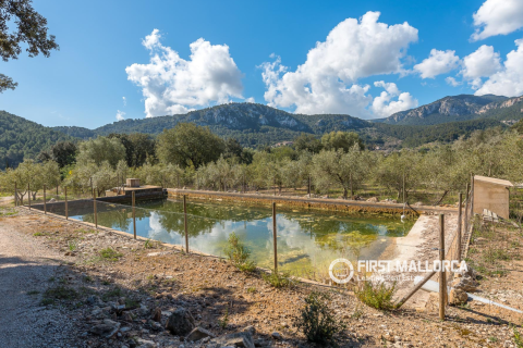 Finca för uthyrning i Esporles, Mallorca, Spanien 6 sovrum, 500 kvm. Nr. 167303 - foto 24