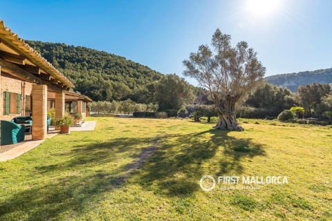 Finca för uthyrning i Esporles, Mallorca, Spanien 6 sovrum, 500 kvm. Nr. 167303 - foto 4