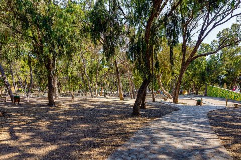 Продажа пентхауса в Гуардамар-дель-Сегура, Аликанте, Испания 2 спальни, 64м2 №154740 - фото 29