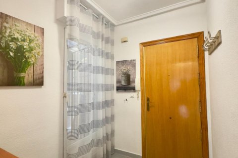 Продажа квартиры в Торревьеха, Аликанте, Испания 1 спальня, 46м2 №196066 - фото 15