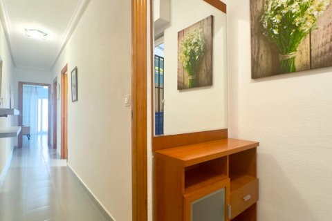 Продажа квартиры в Торревьеха, Аликанте, Испания 1 спальня, 46м2 №196066 - фото 16