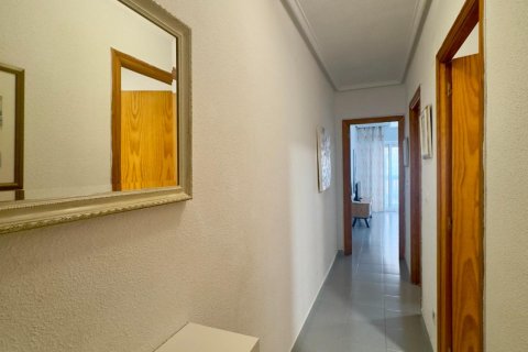 Продажа квартиры в Торревьеха, Аликанте, Испания 1 спальня, 46м2 №196066 - фото 13
