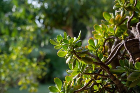 Villa zum Verkauf in Alicante, Spanien 8 Schlafzimmer, 473 m2 Nr. 155080 - Foto 26