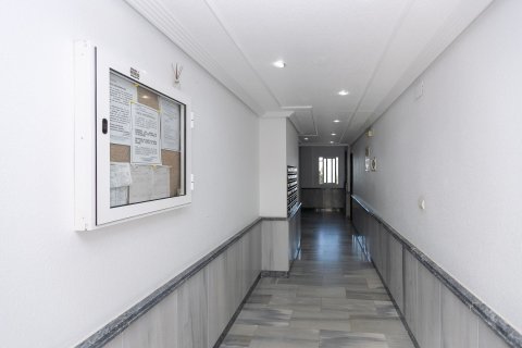 Apartamento en venta en La Regia, Alicante, España No. 181270 - foto 18