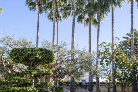 Villa pārdošanā San Pedro del Pinatar, Murcia, Spānijā 5 istabas, 780 m2 Nr. 137199 - attēls 18