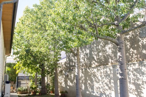 Villa pārdošanā San Pedro del Pinatar, Murcia, Spānijā 5 istabas, 780 m2 Nr. 137199 - attēls 7