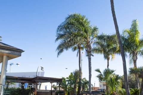Villa pārdošanā San Pedro del Pinatar, Murcia, Spānijā 5 istabas, 780 m2 Nr. 137199 - attēls 6