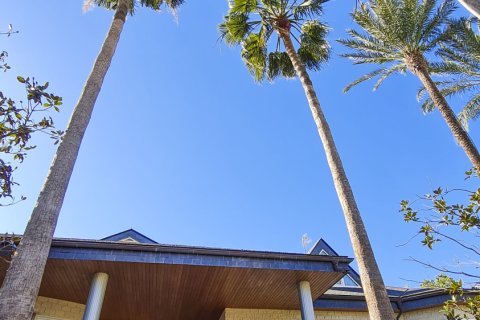 Villa pārdošanā San Pedro del Pinatar, Murcia, Spānijā 5 istabas, 780 m2 Nr. 137199 - attēls 14