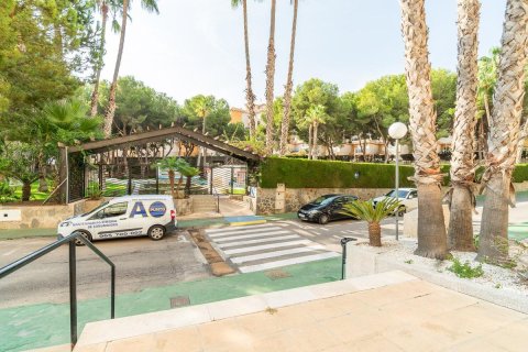 Apartment à vendre à Dehesa De Campoamor, Alicante, Espagne, 3 chambres, 95 m2 No. 193185 - photo 27