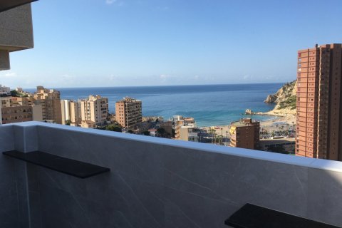Apartment for sale Finestrat, Alicante, Spain 4 bedrooms, 326 sq.m. No. 116707 - photo 7