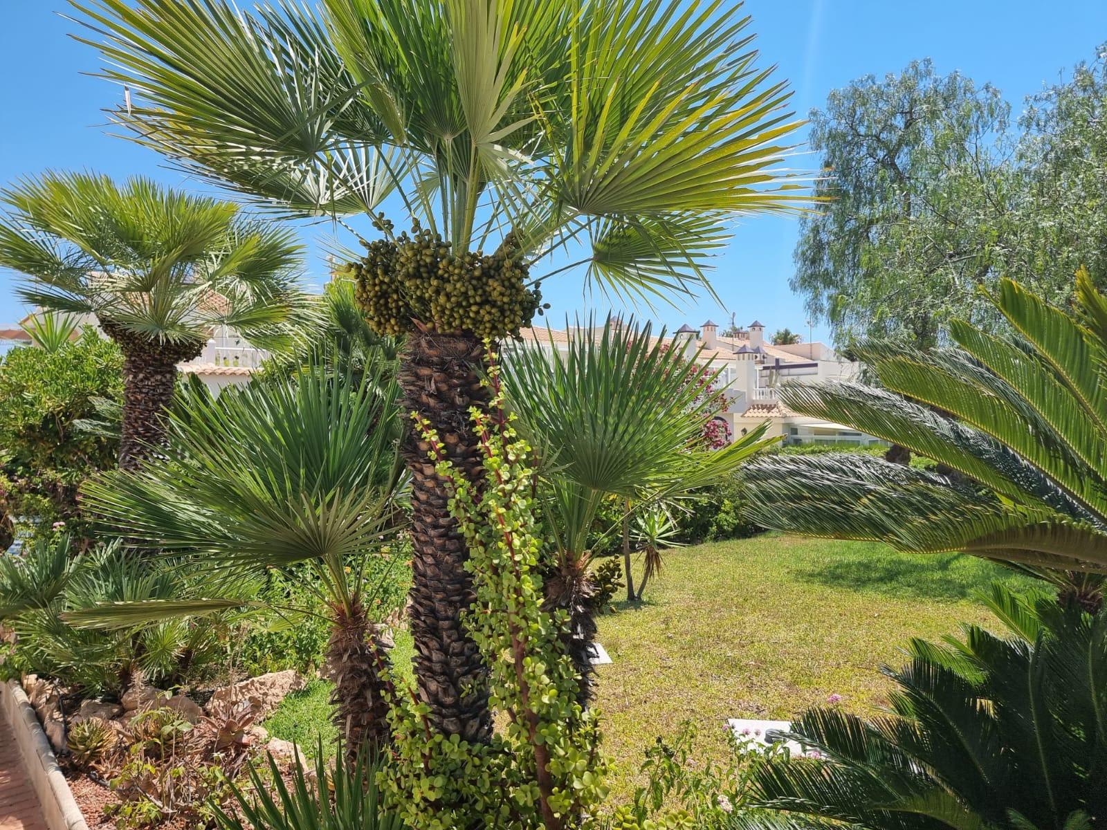 Apartament w Los Balcones, Alicante, Hiszpania 2 sypialnie, 68 mkw. nr 184385