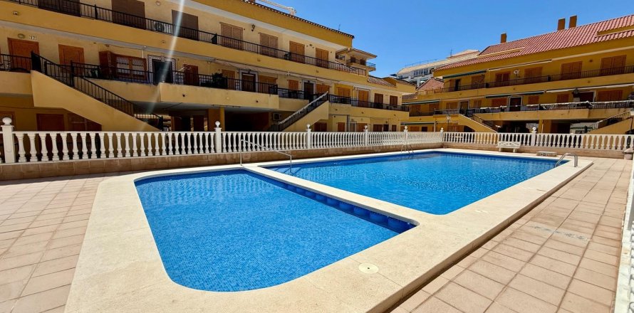 Kattohuoneisto Torrevieja, Alicante, Espanja 1 makuuhuone, 58 m2 No. 184380