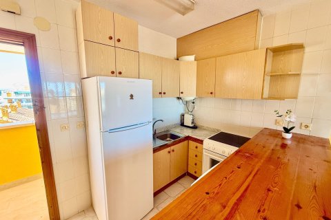 Kattohuoneisto myytävänä Torrevieja, Alicante, Espanja, 1 makuuhuone, 58 m2 No. 184380 - kuva 10