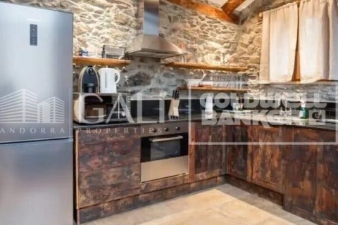 Hus för uthyrning i Principado De Andorra (Ninguna Poblacion Tiene C.P.), Lleida, Spanien 2 sovrum, 110 kvm. Nr. 179213 - foto 2