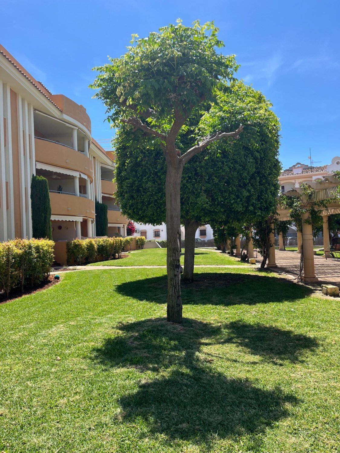 Lägenhet i Denia, Alicante, Spanien 2 sovrum, 75 kvm. Nr. 168088