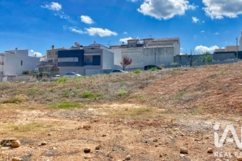 Terreno in vendita a Pego, Alicante, Spagna 134 mq. N° 188045 - foto 4