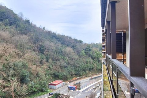 Wohnung zum Verkauf in Donostia-San Sebastian, Gipuzkoa, Spanien 3 Schlafzimmer, 125 m2 Nr. 152325 - Foto 24