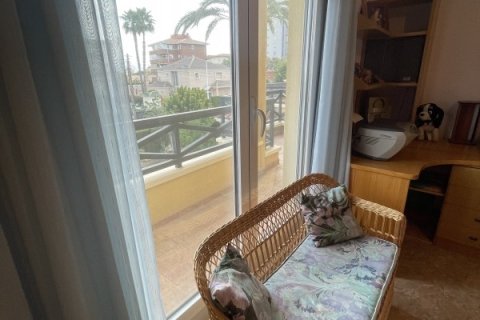 Māja pārdošanā Elche, Alicante, Spānijā 4 istabas, 424 m2 Nr. 152324 - attēls 7